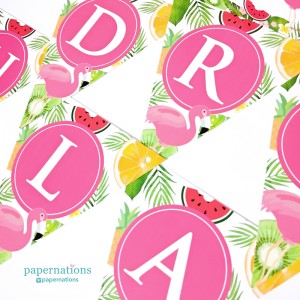 Bunting Flag Triangle Bunting Flag Triangle